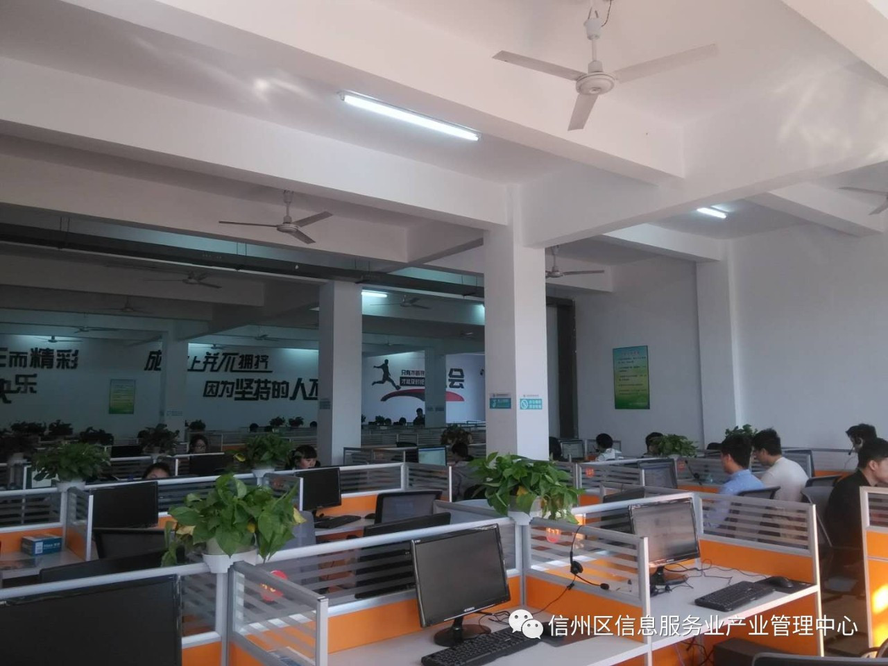 信息服務(wù)業(yè)產(chǎn)業(yè)管理中心為新入駐企業(yè)提供貼心服務(wù)