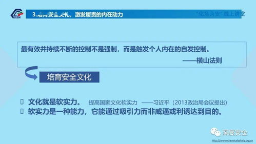 精品PPT 筑牢防線，共筑平安——互聯(lián)網(wǎng)安全服務(wù)機構(gòu)建立健全全員安全生產(chǎn)責(zé)任制指南